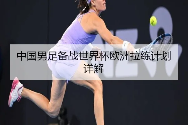 中国男足备战世界杯欧洲拉练计划详解